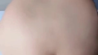 中国精品久久久久久久久久久-小鸟酱与小果酱写真